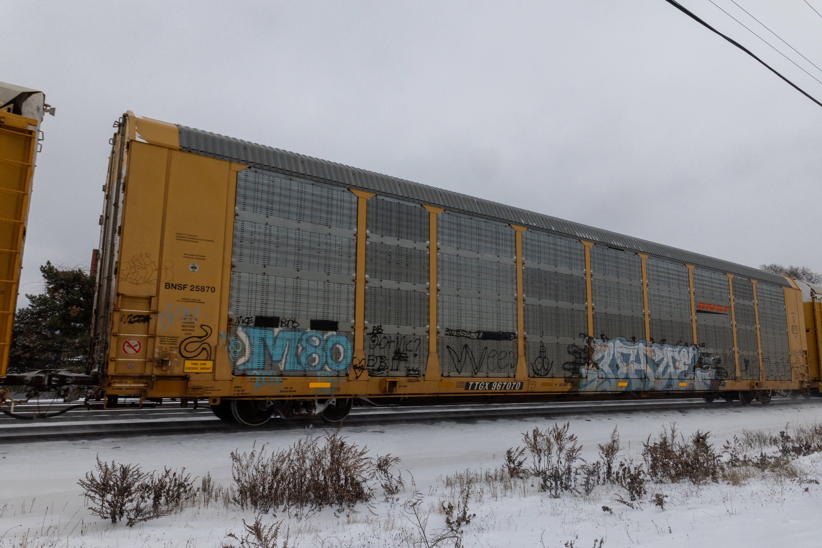 TTGX 967070