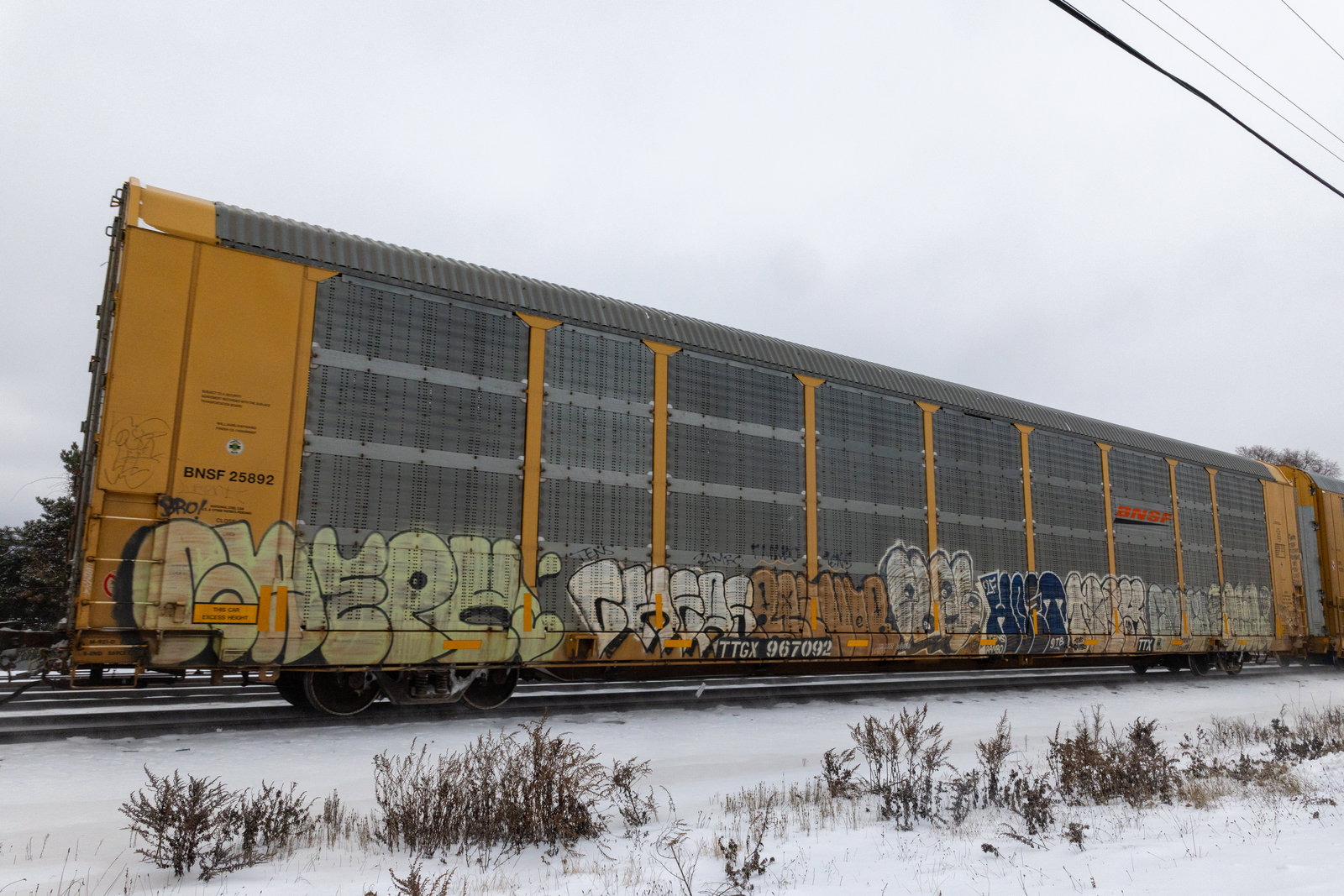 TTGX 967092