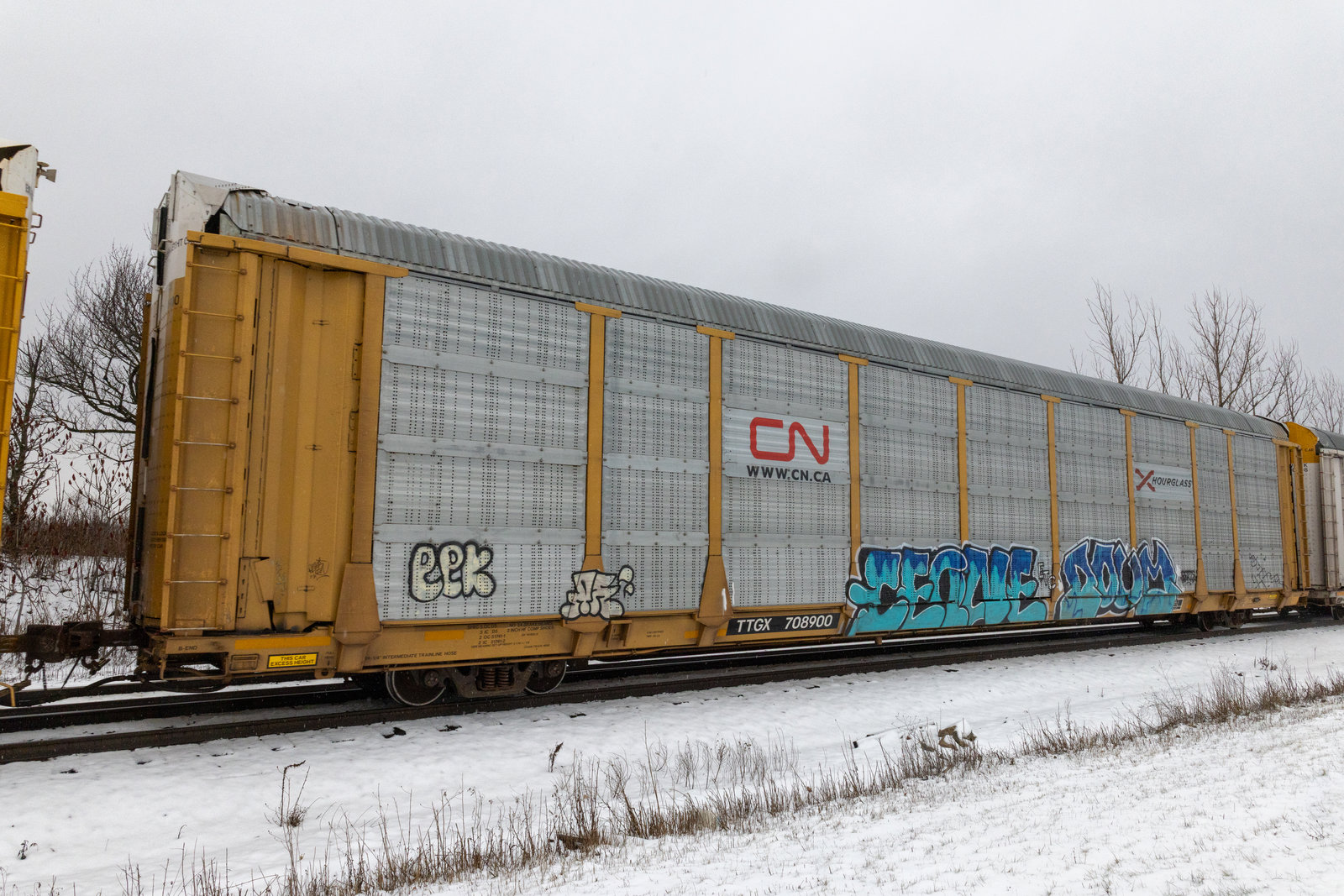 TTGX 708900