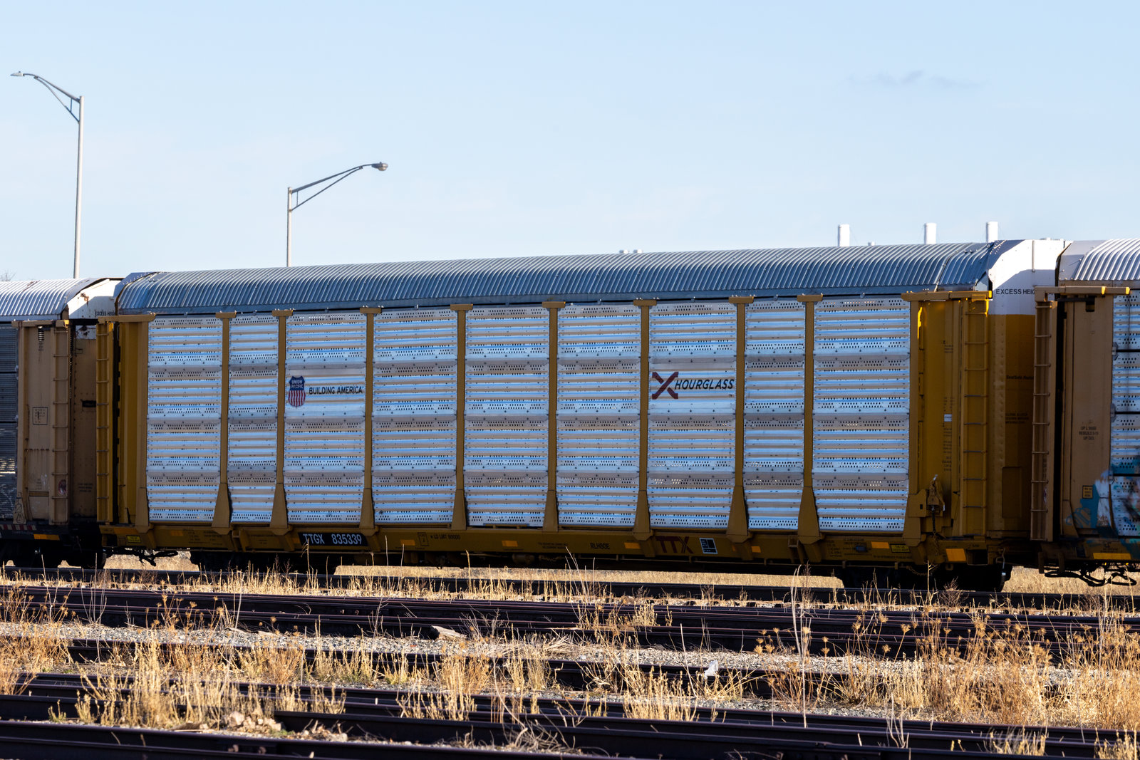 TTGX 835339