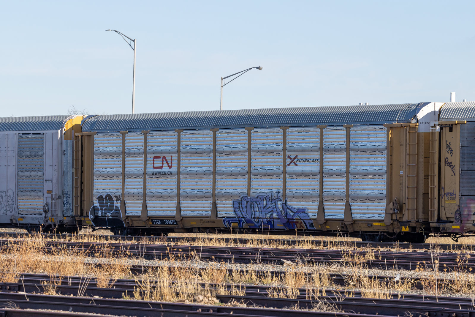 TTGX 709673