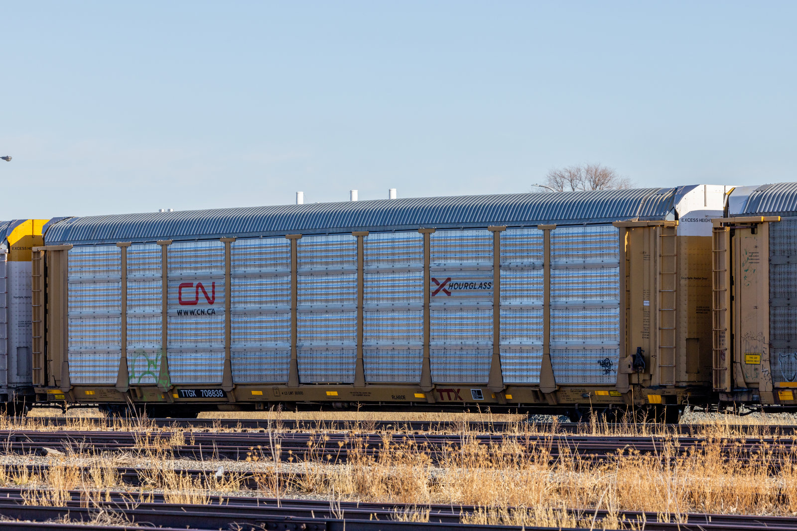 TTGX 708838