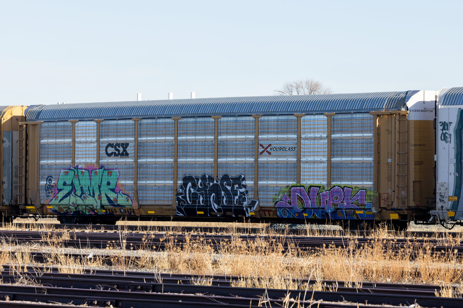 TTGX 709428