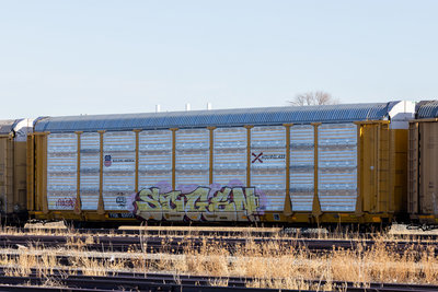TTGX 835175