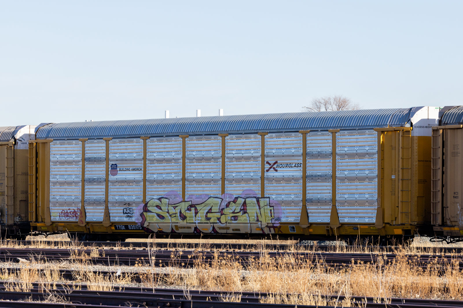 TTGX 835175