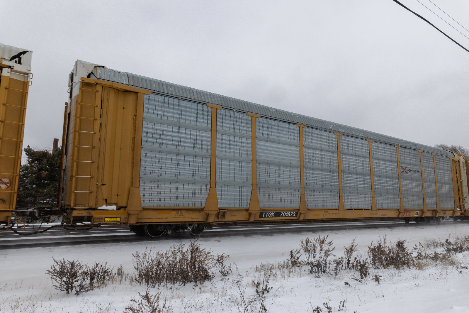 TTGX 701873