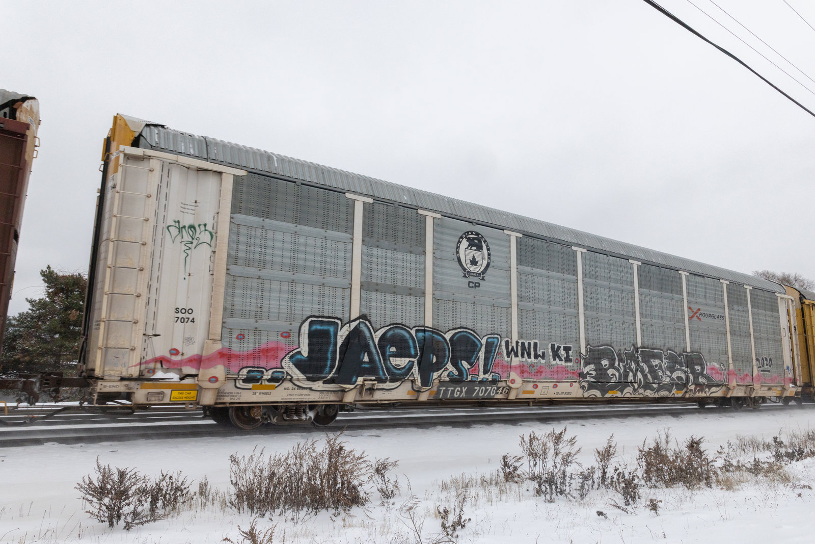 TTGX 707646