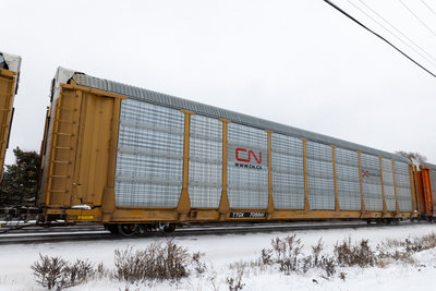TTGX 708861