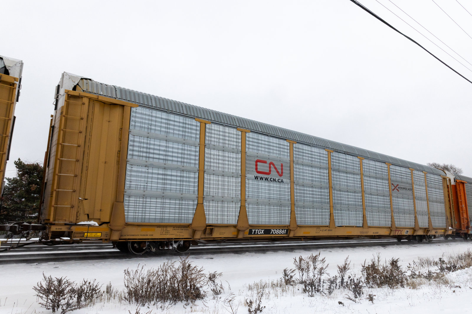TTGX 708861