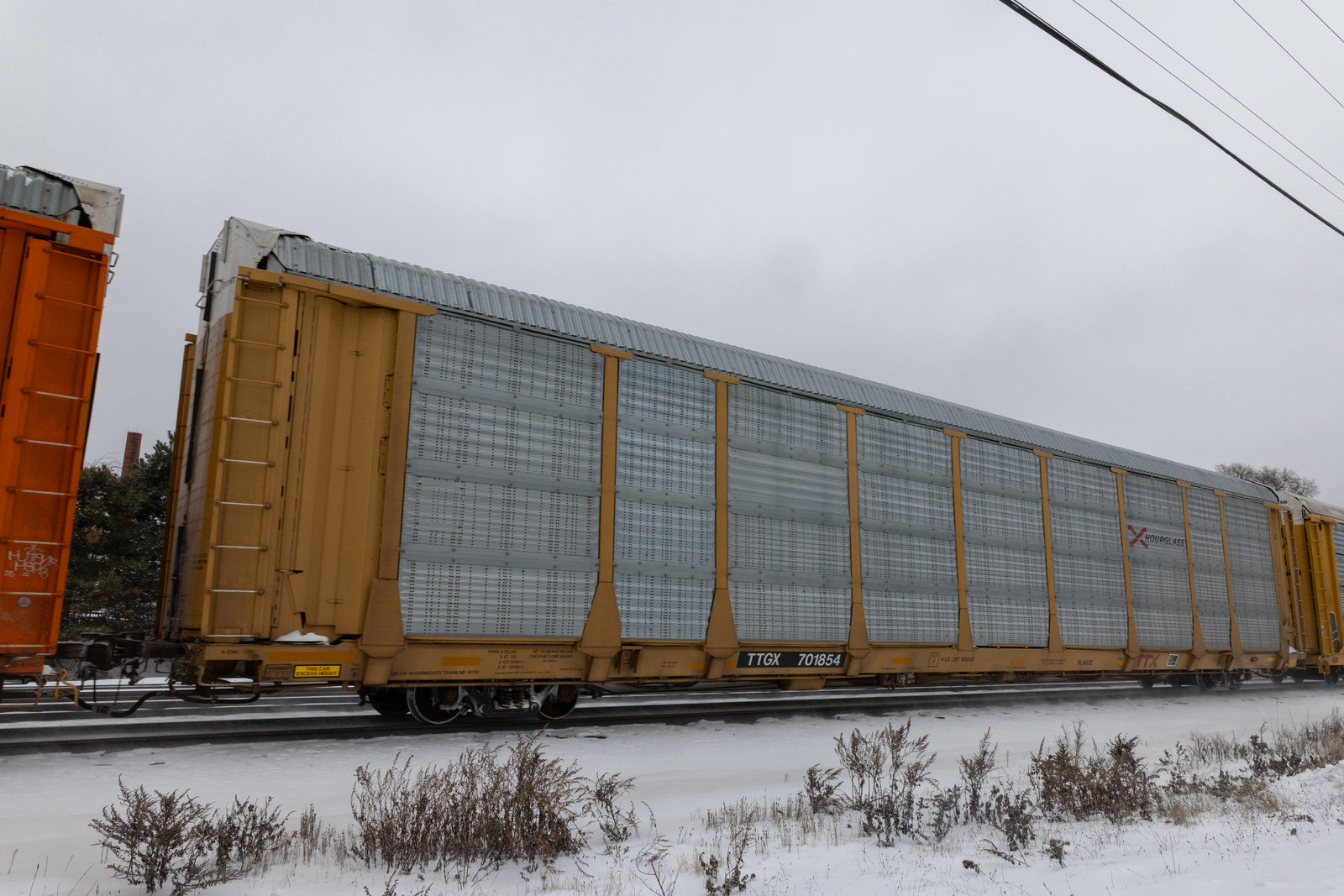 TTGX 701854