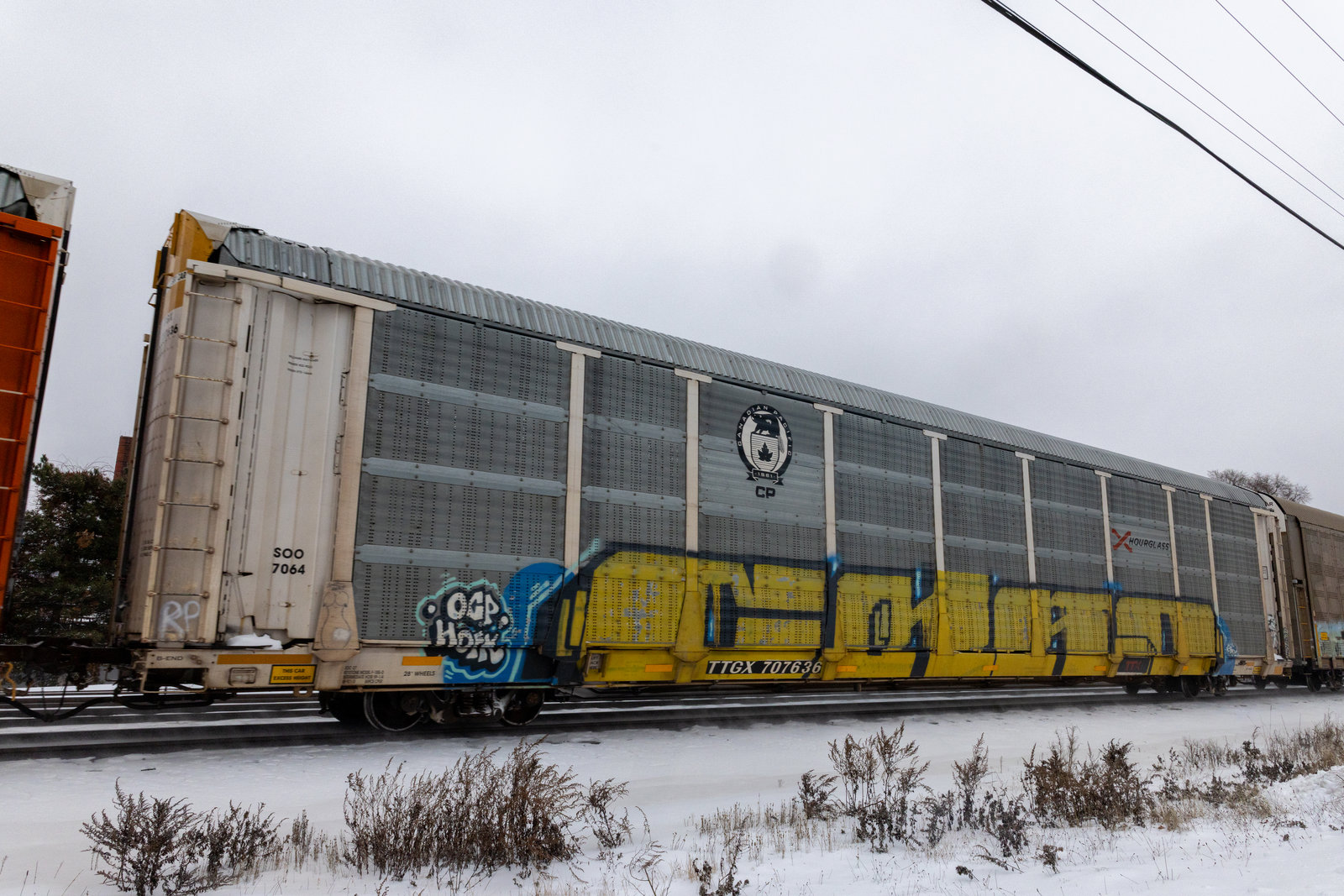 TTGX 707636