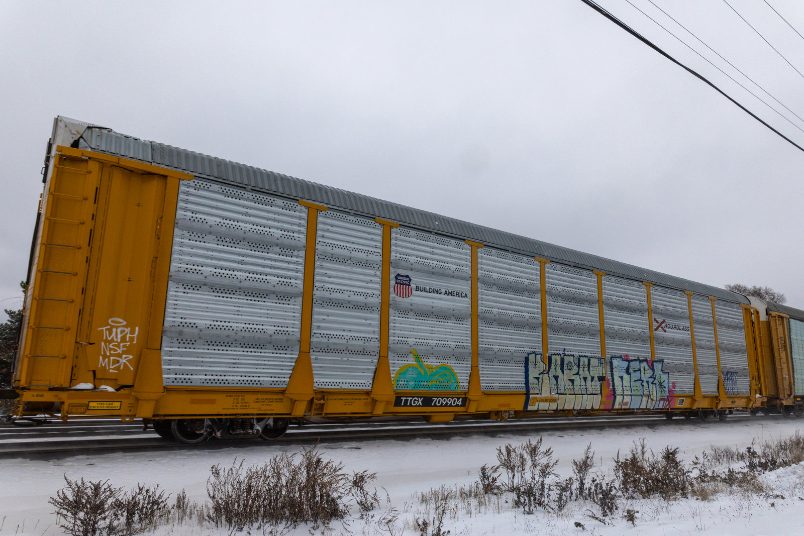 TTGX 709904