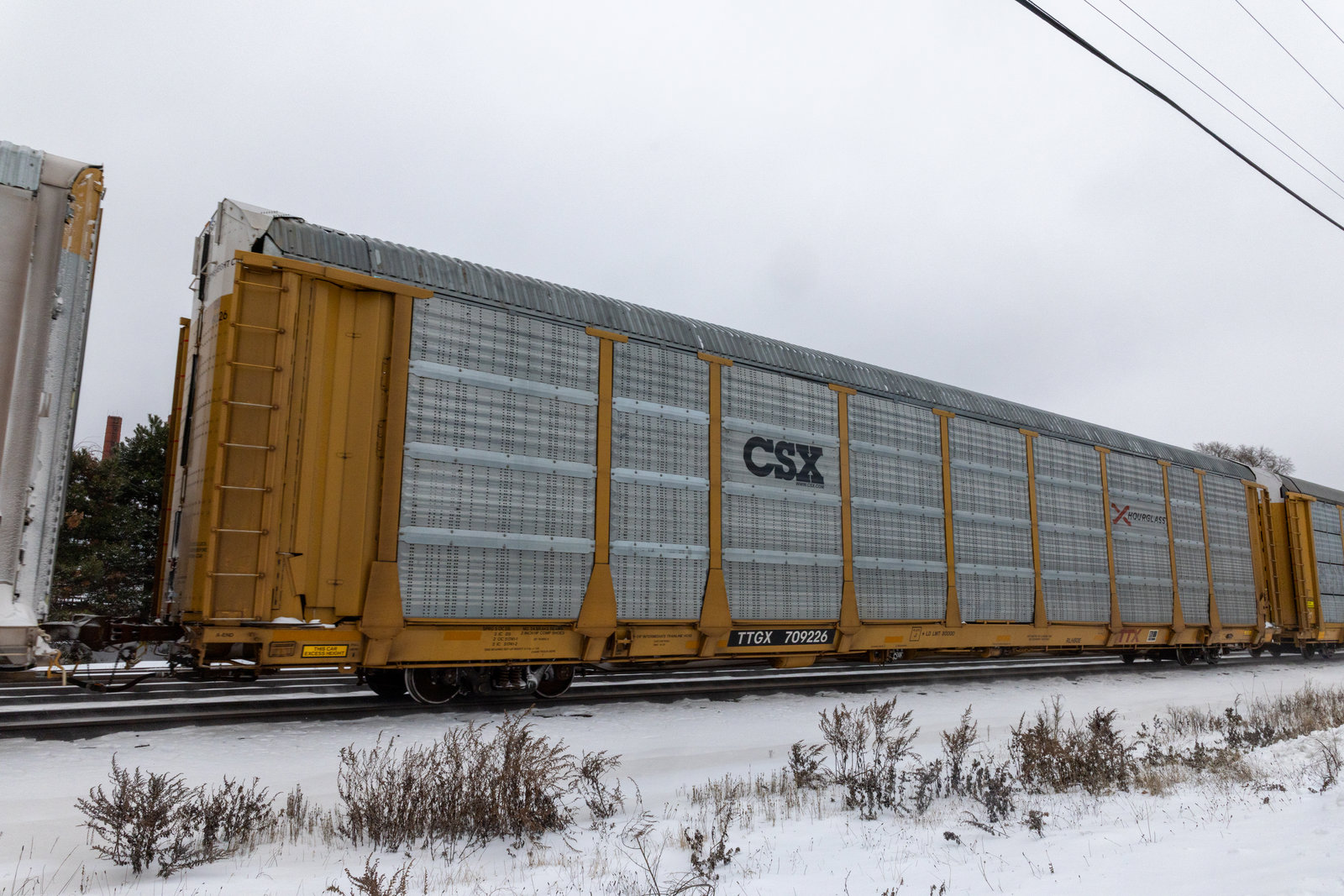 TTGX 709226