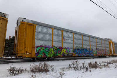 TTGX 707827