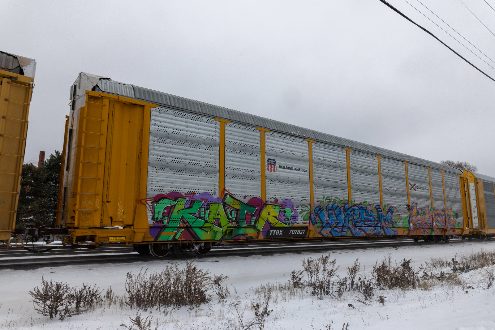 TTGX 707827