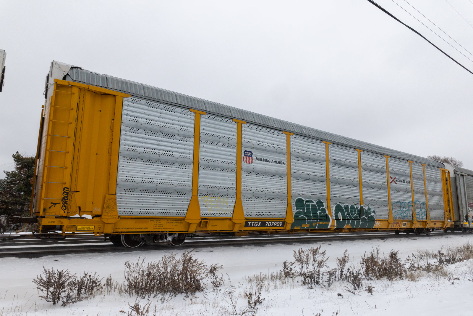TTGX 707909