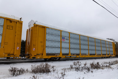 TTGX 853859