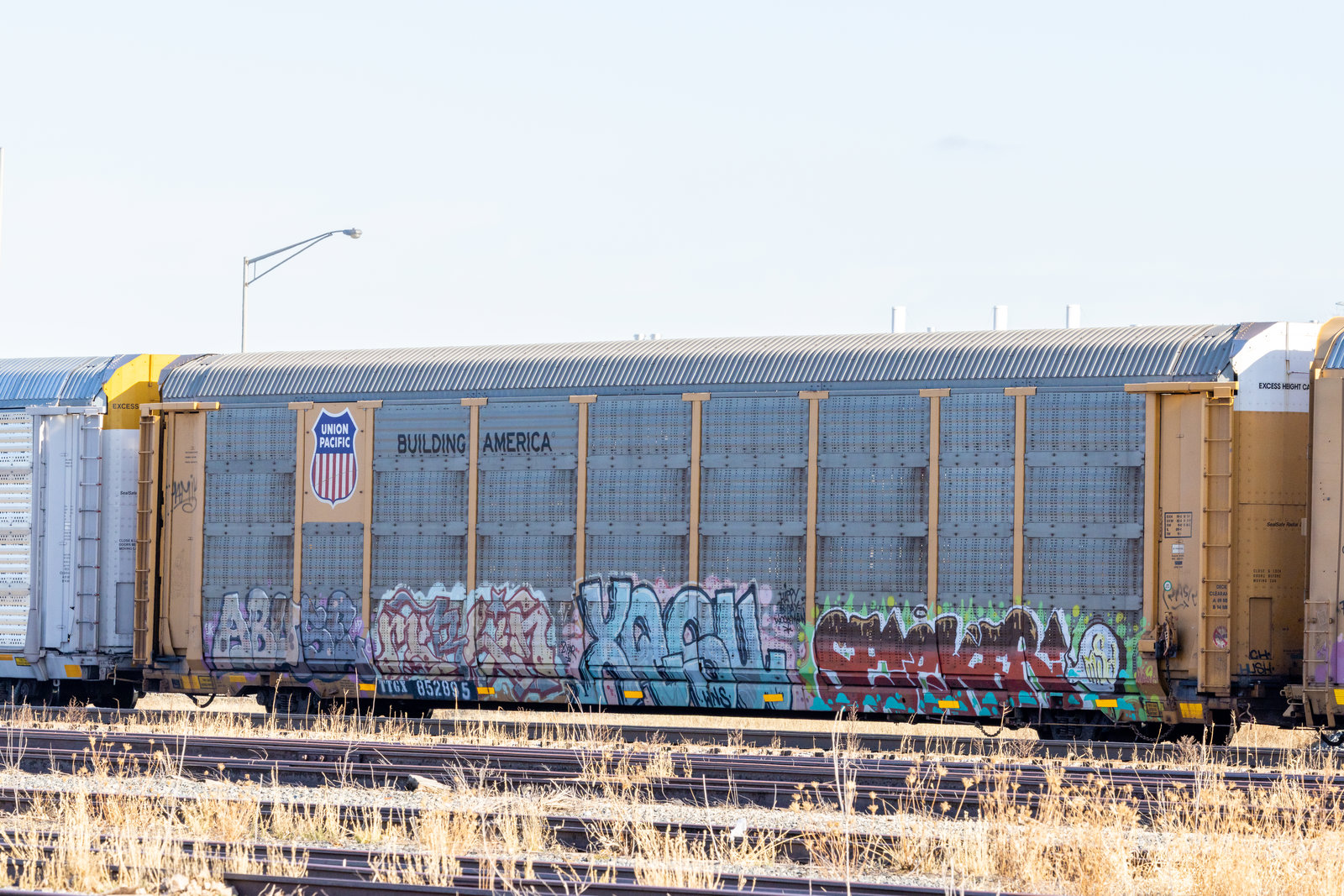 TTGX 852895