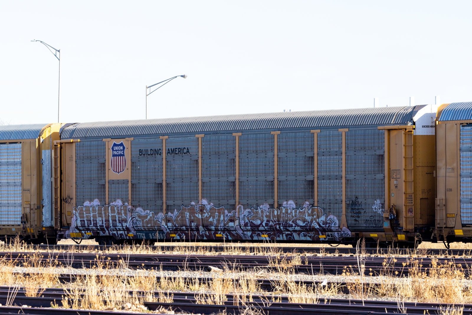 TTGX 851889