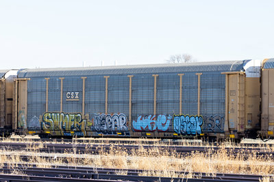 TTGX 700925