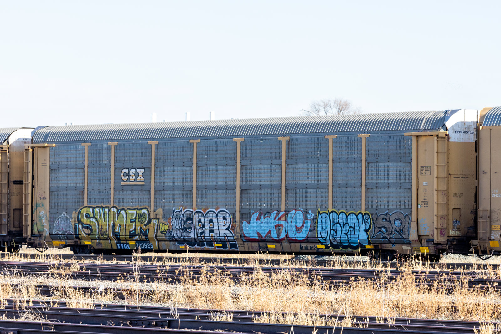 TTGX 700925