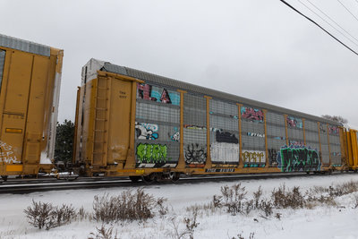 TTGX 851818
