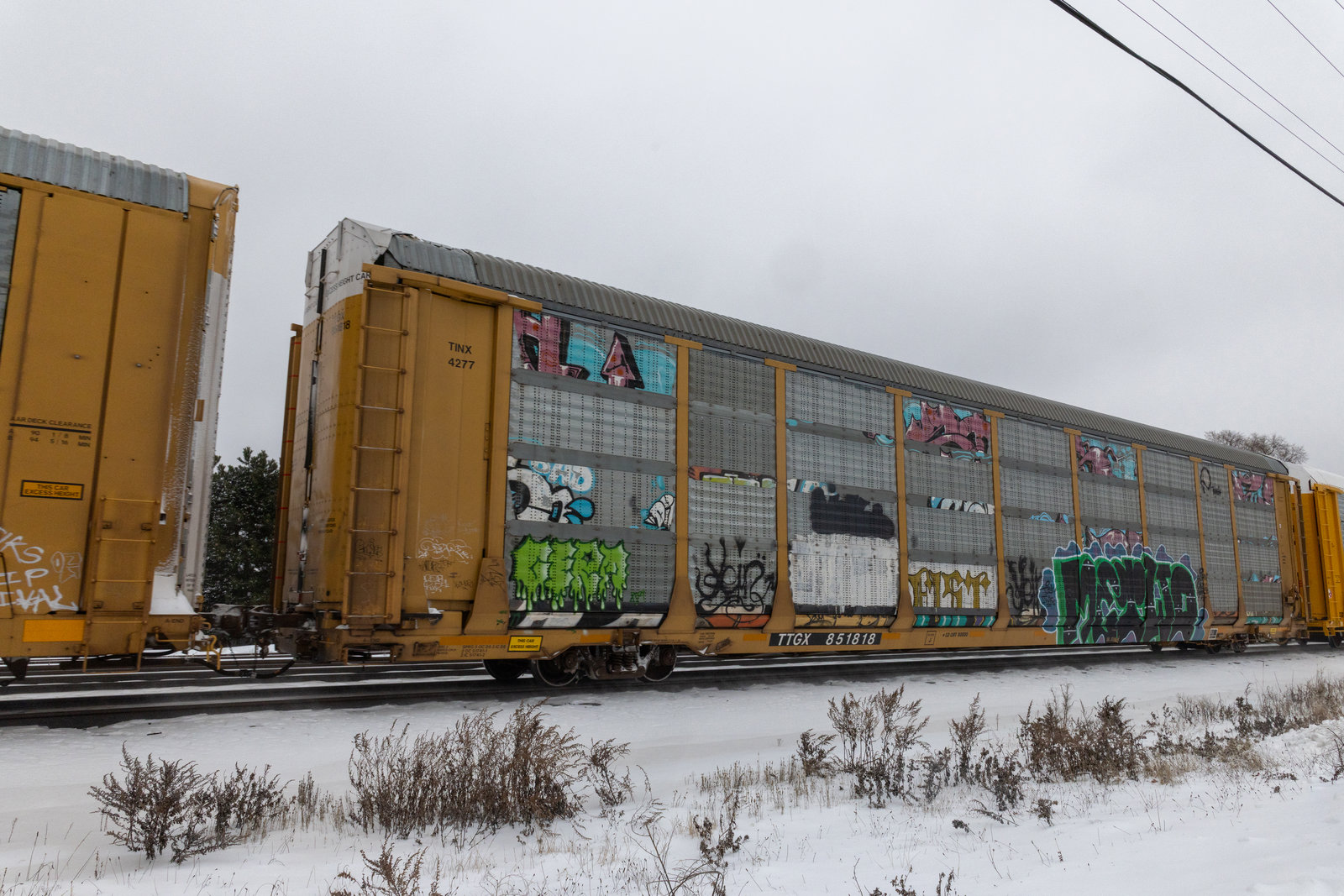 TTGX 851818