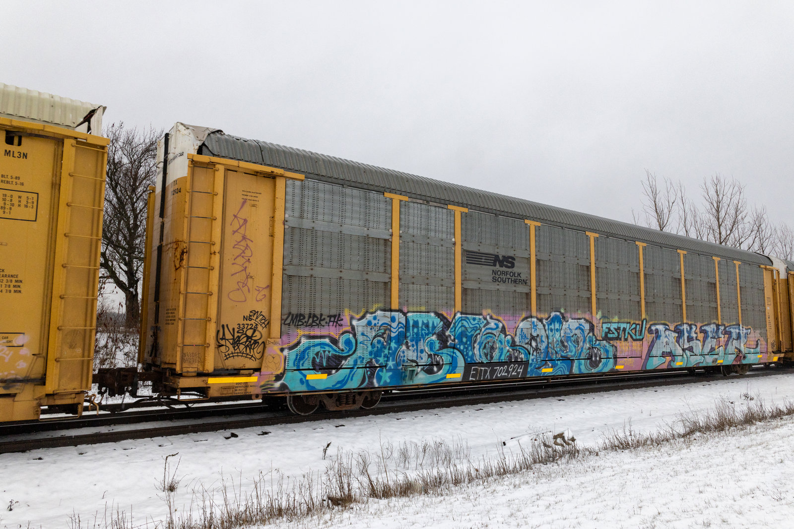 ETTX 702924
