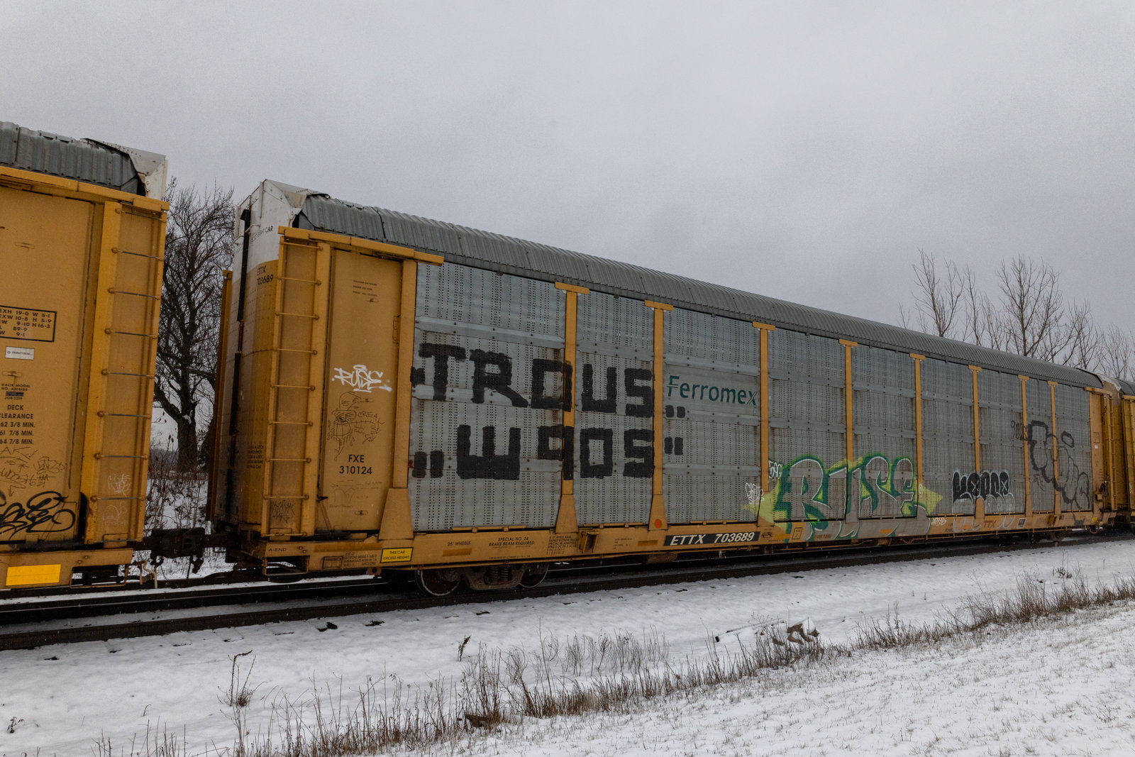ETTX 703689