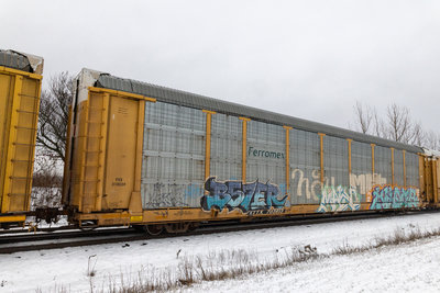 ETTX 703613