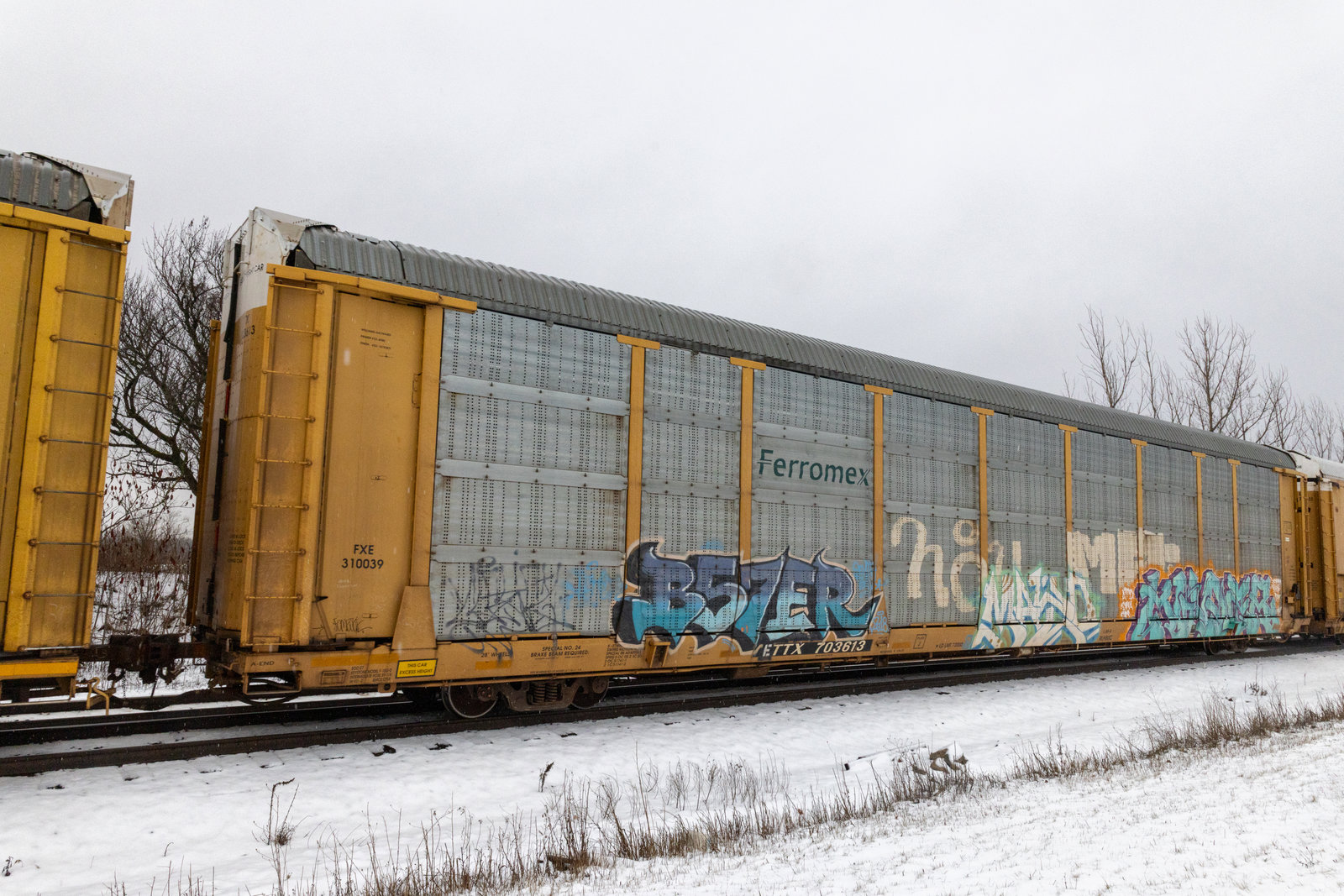 ETTX 703613