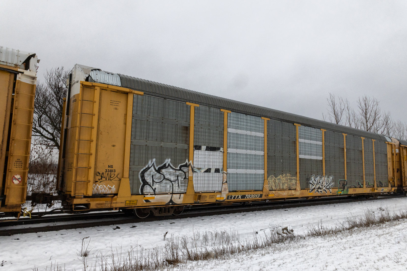 ETTX 703013