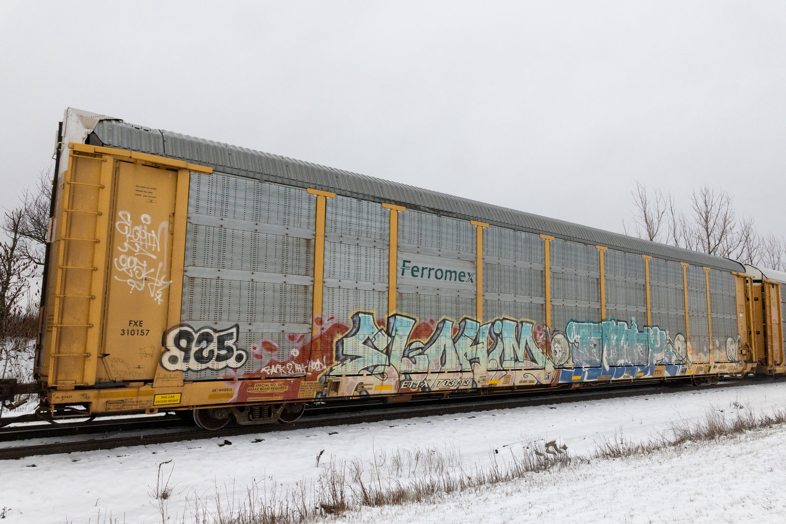 ETTX 703713