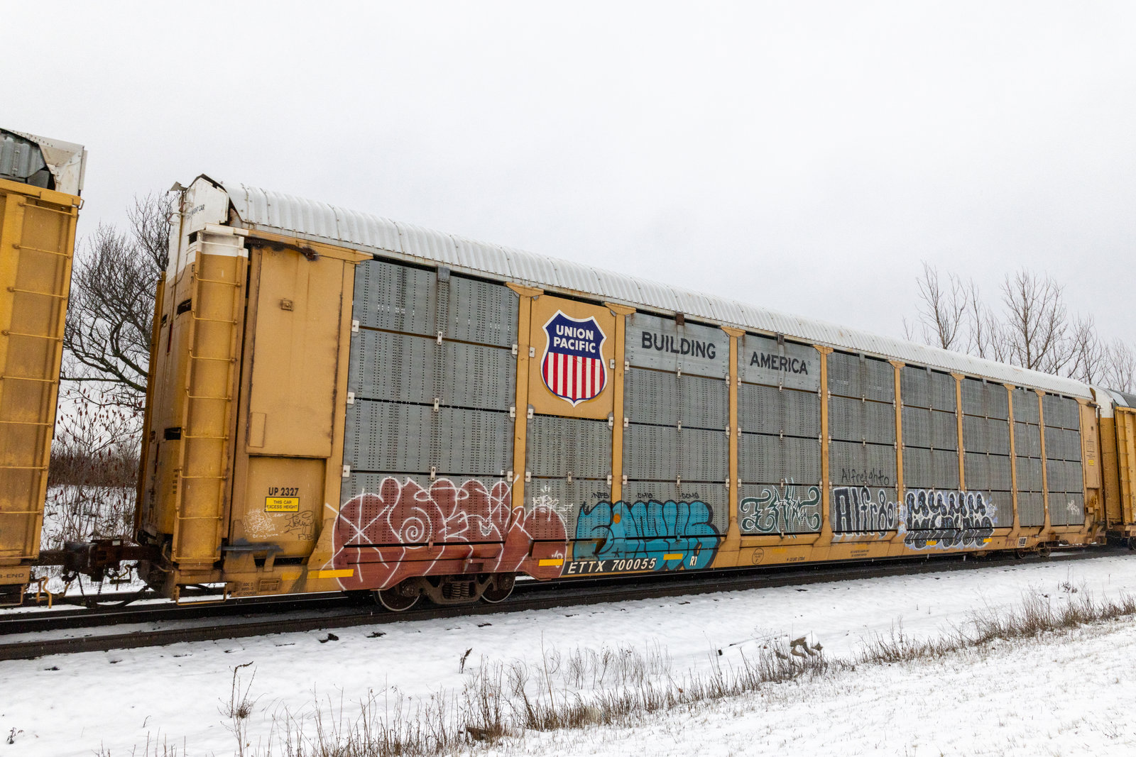 ETTX 700055