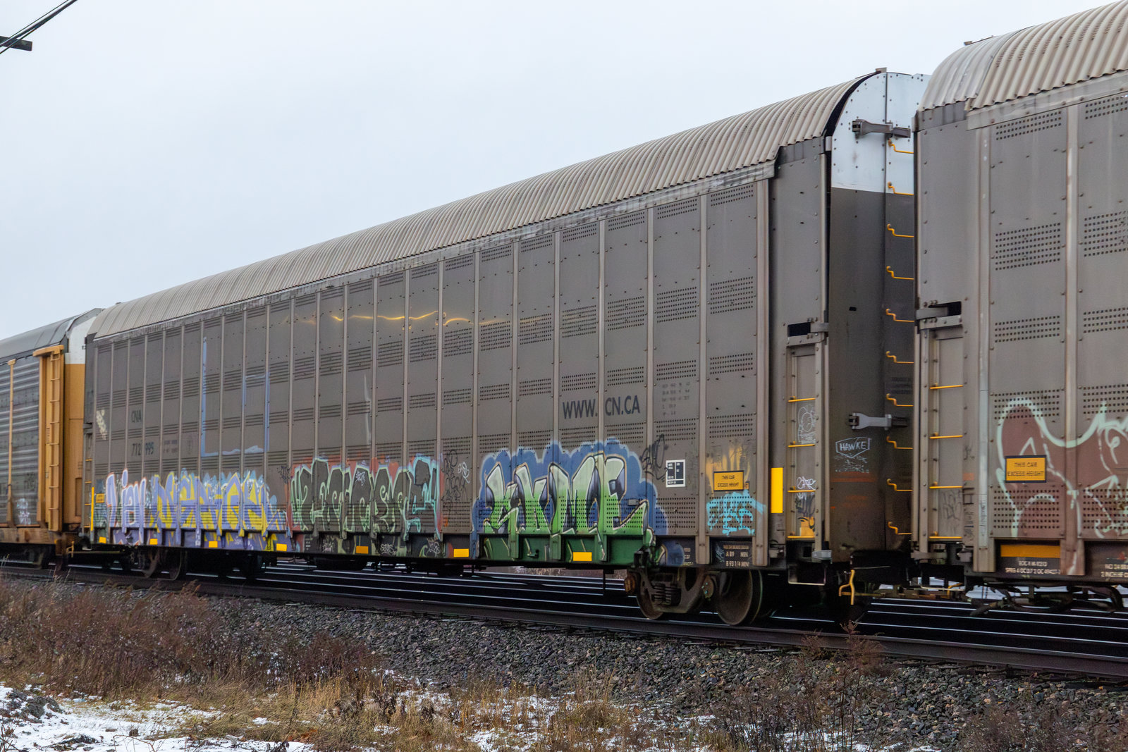 CNA 712995