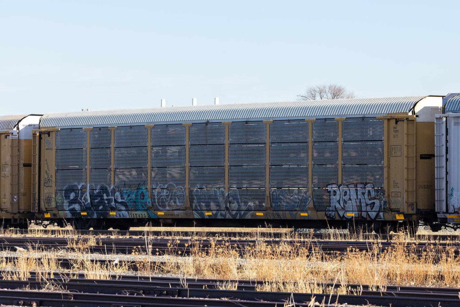 CNA 712425
