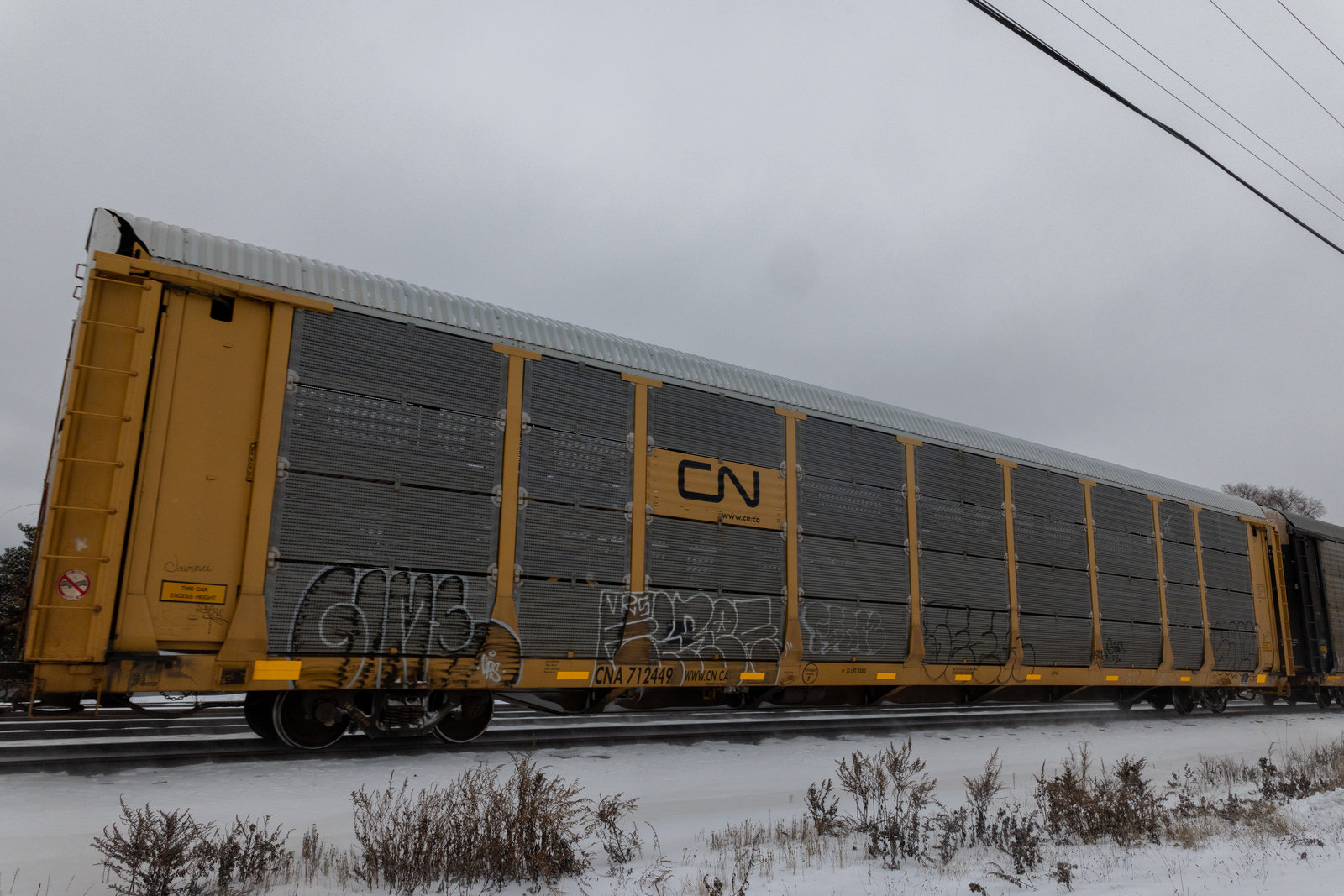 CNA 712449