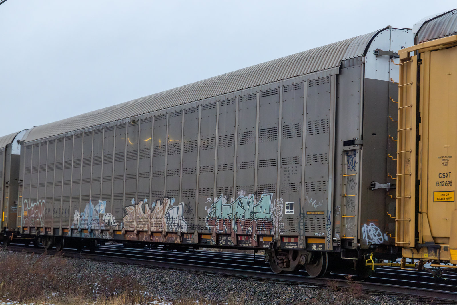 CP 546241