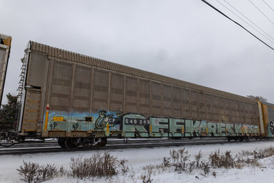 CP 546243