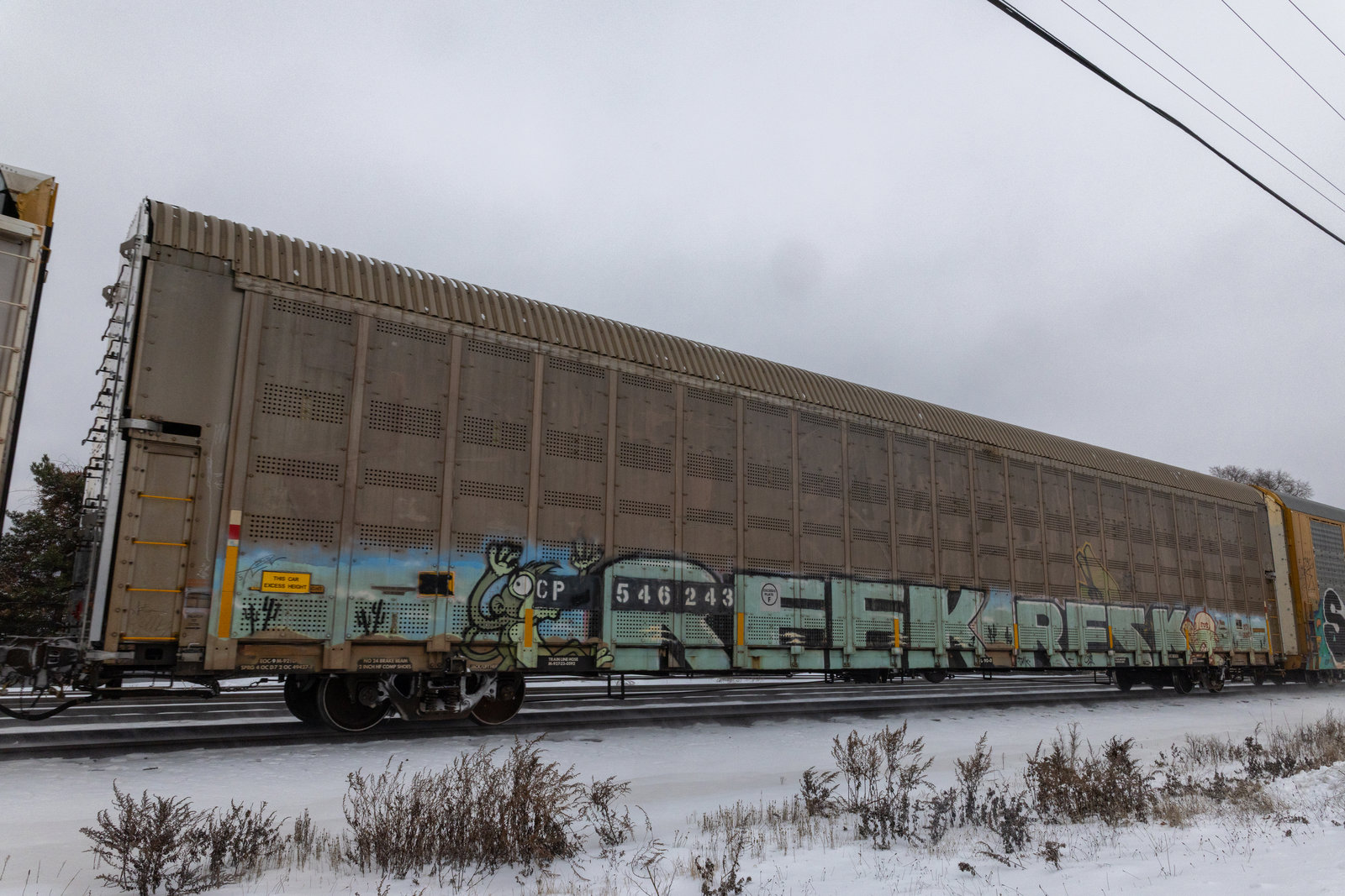 CP 546243