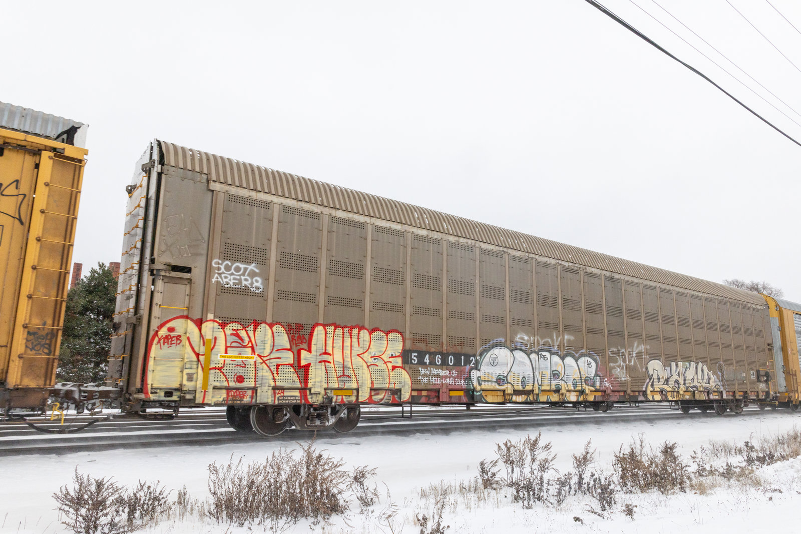 CP 546012