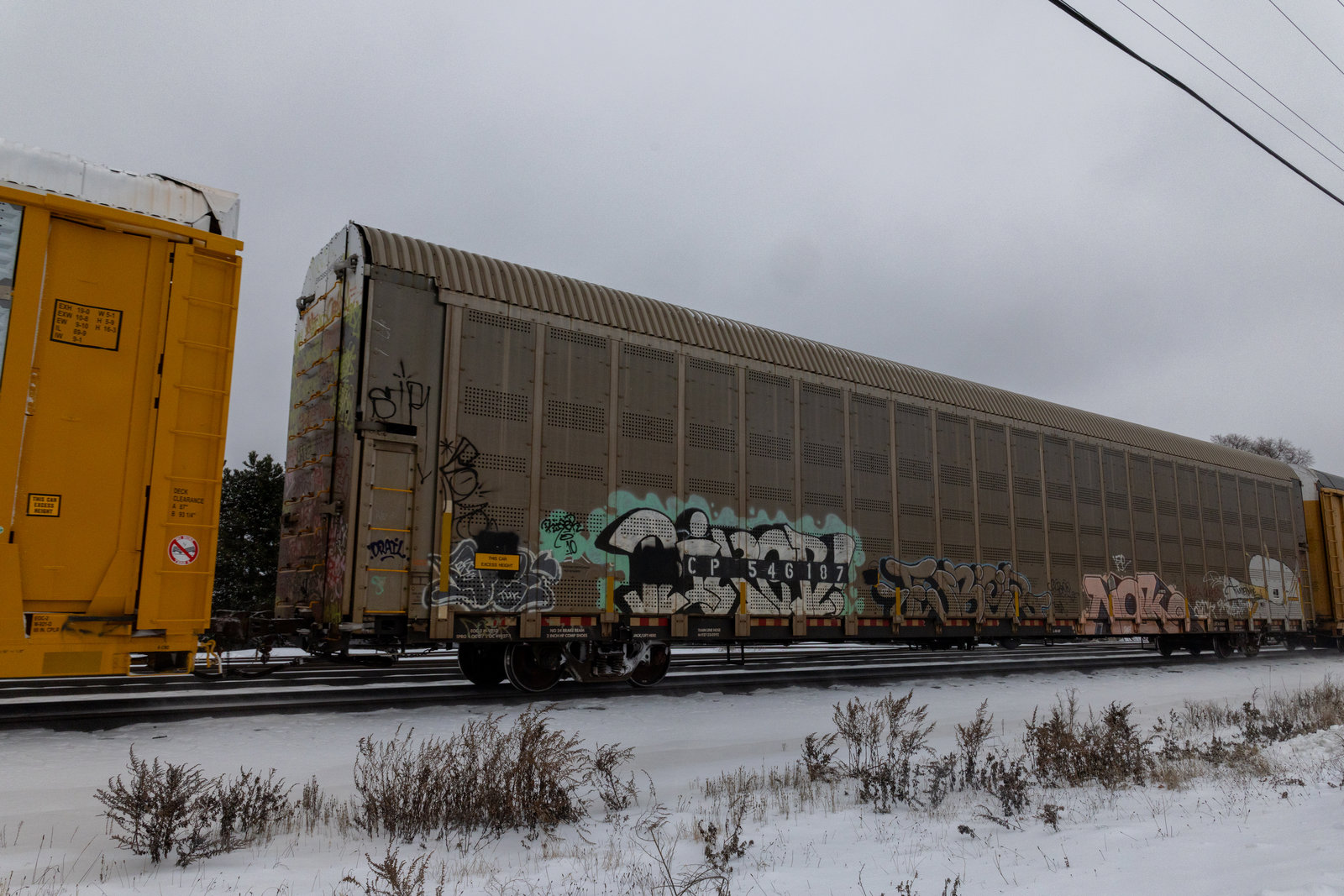CP 546187