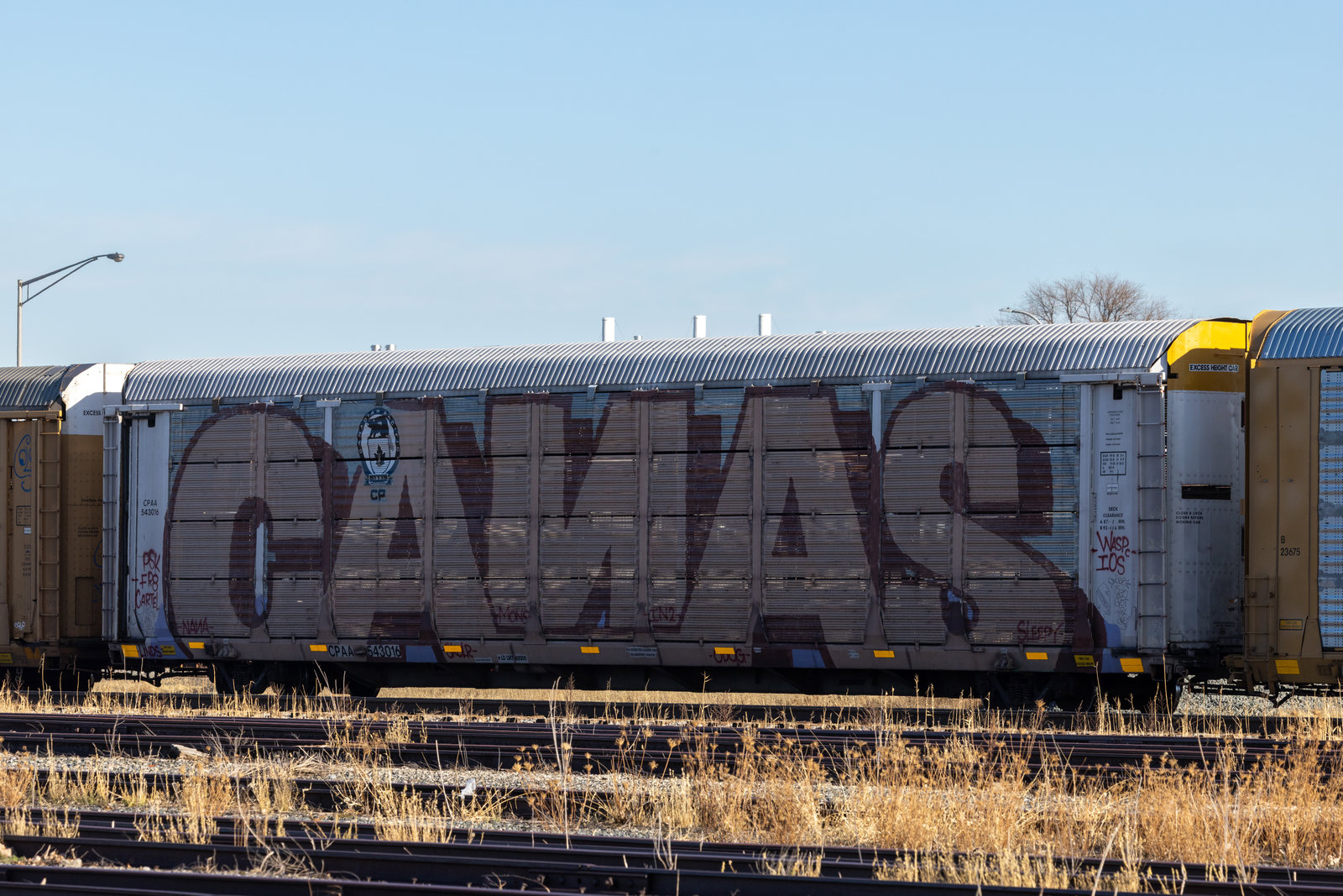 CPAA 543016