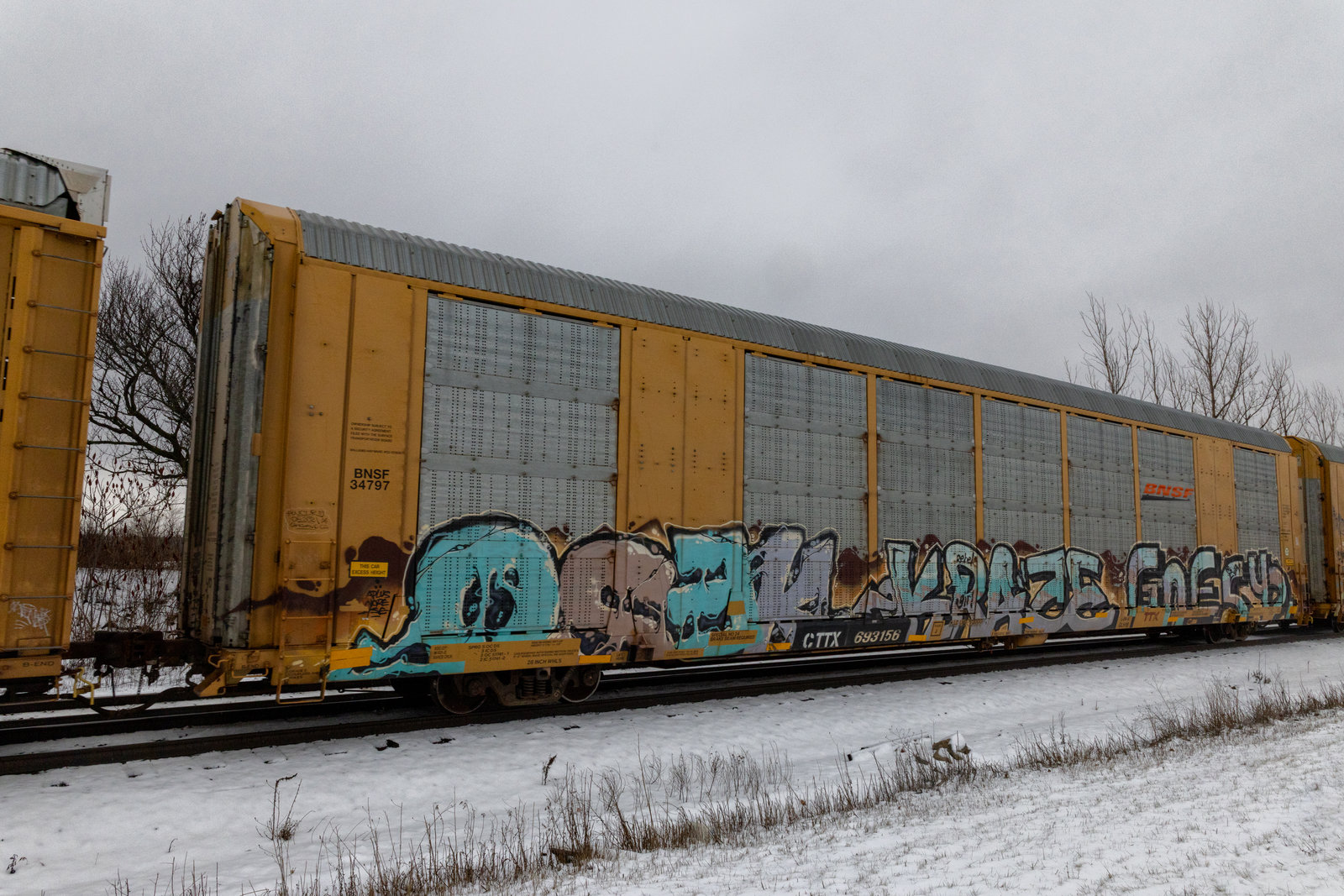 CTTX 693156