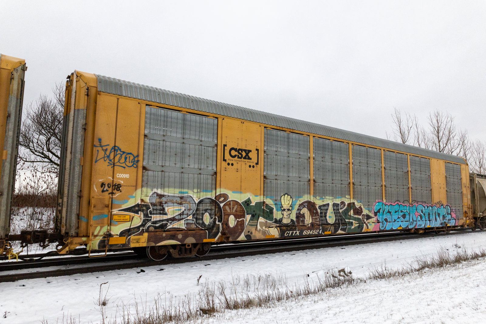 CTTX 694524