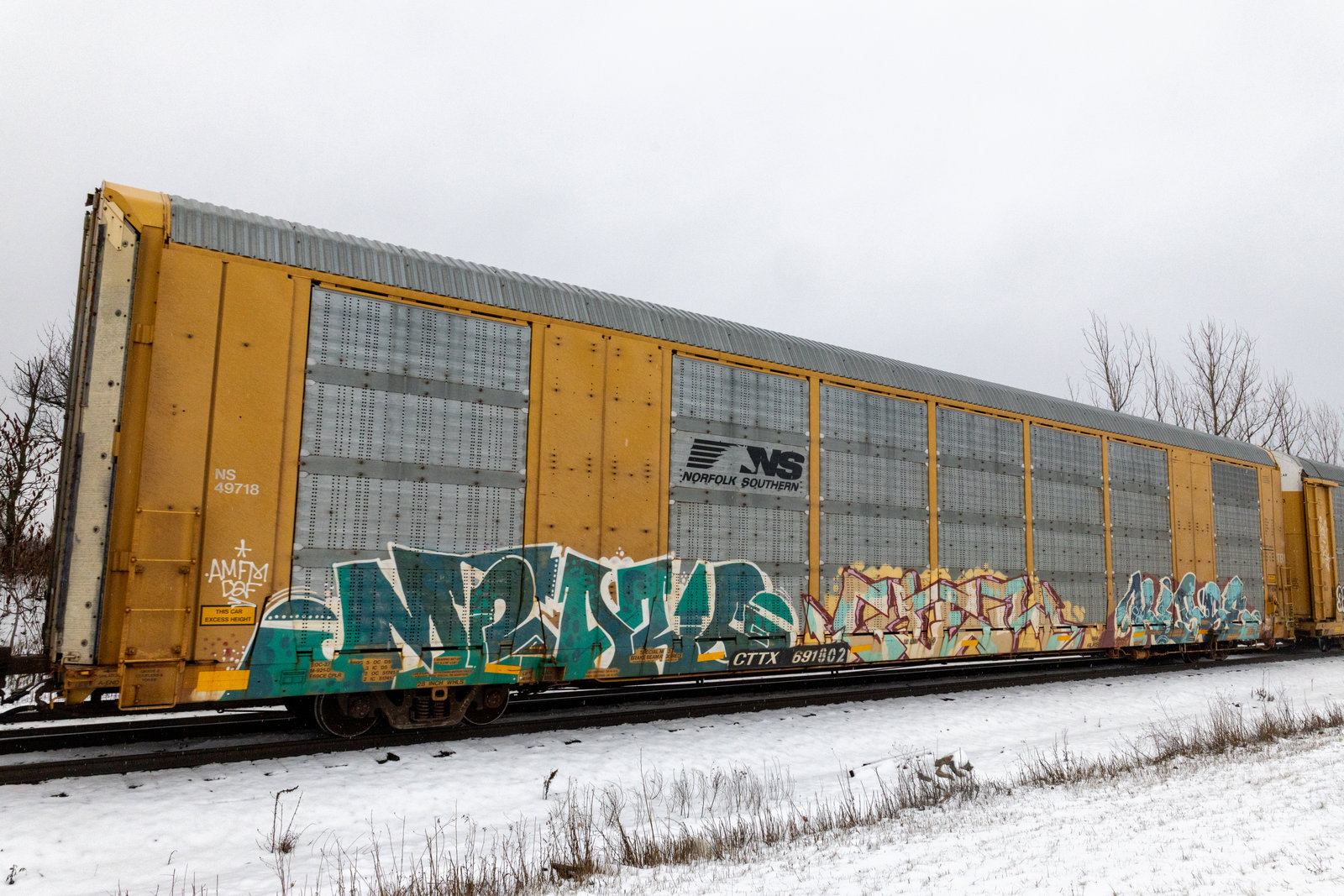 CTTX 691802