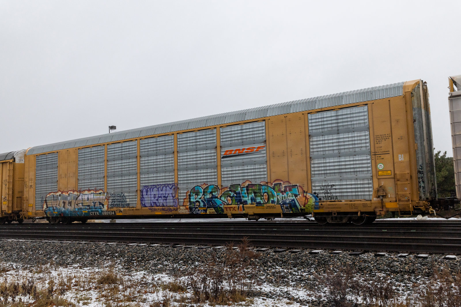 CTTX 693134