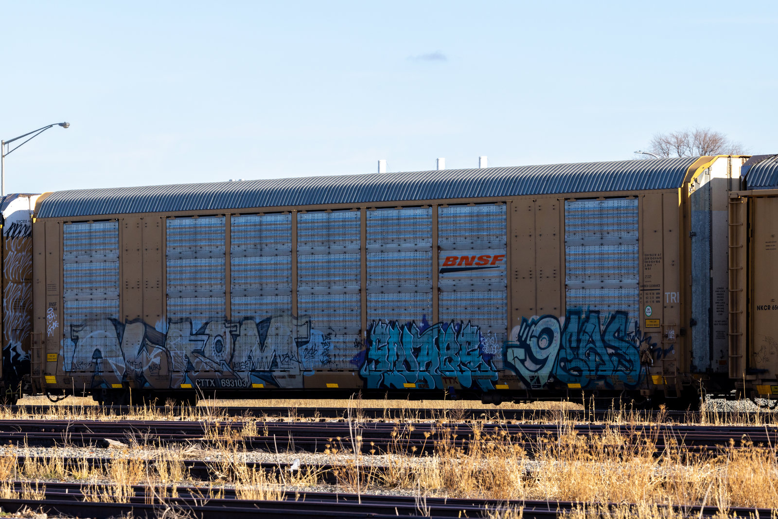 CTTX 693103