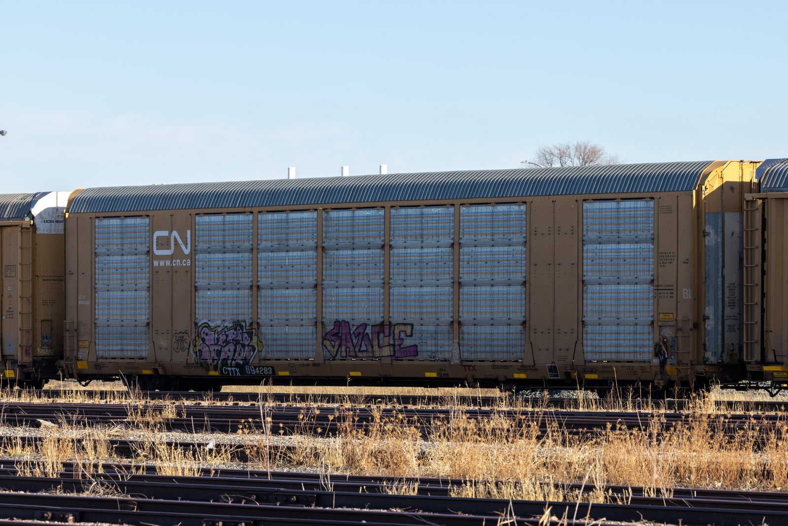CTTX 694283