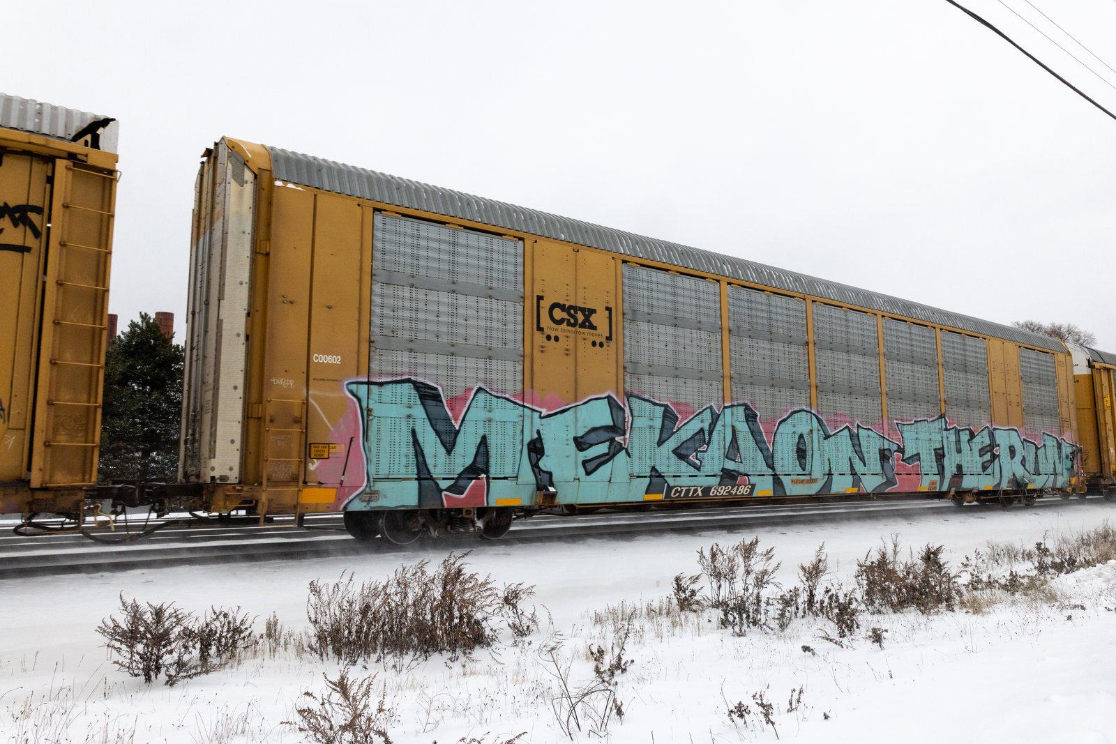 CTTX 692486